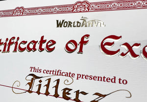 Premium Worldember Certificate of Excellence